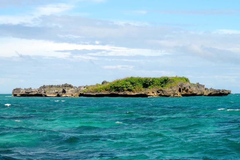 Crocodile Island